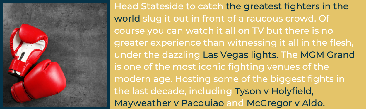 boxing main event,fight night las vegas